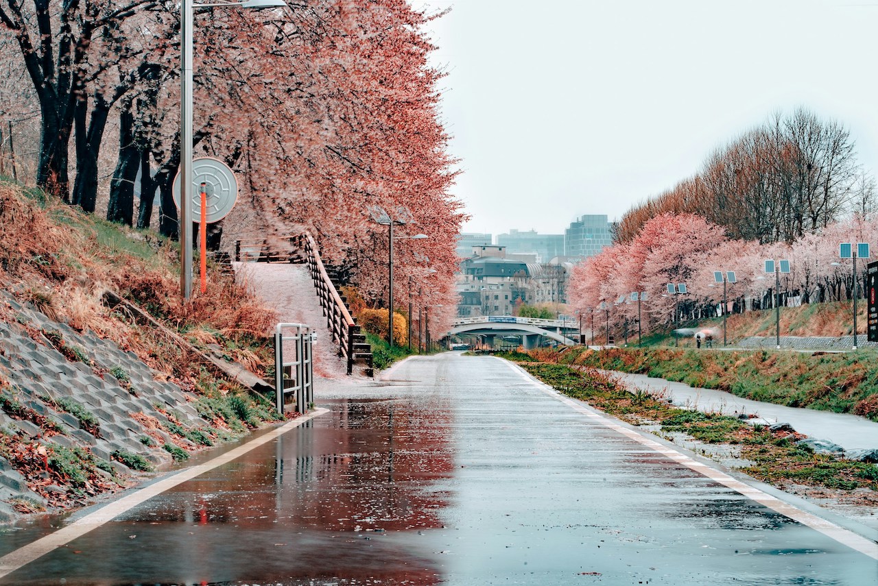 modern asia travel