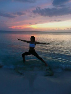 yoga feature image tara lee warrior sea