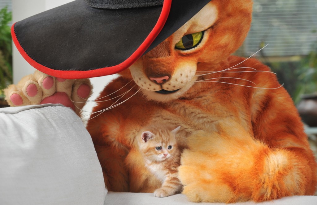 Puss in Boots is out on DVD & Blu-ray on 26th March