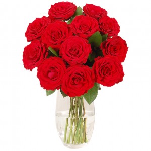 Red roses for Valentine Day