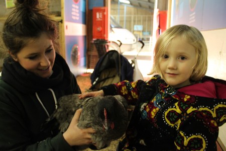 Girl with chicken – Bocketts Farm