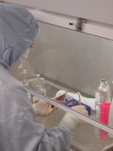 cord blood lab
