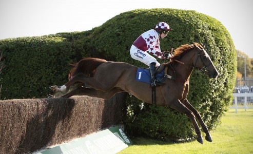 Horse Racing - Blue Square Gentlemen's Day - Sandown Park