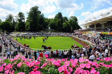 Horse Racing - Totepool Irish Day - Sandown Park