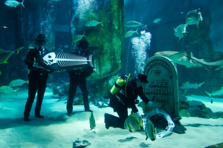 Underwater Funeral for British Fish
