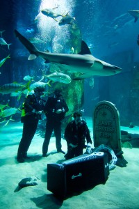 Underwater Funeral for British Fish