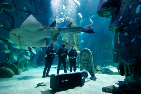 Underwater Funeral for British Fish