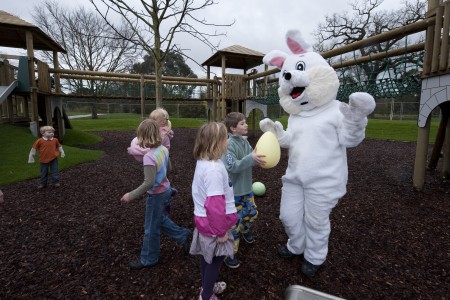 Tree house towers Easter opening