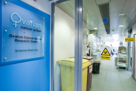 ovarian cancer Research Centre - 2