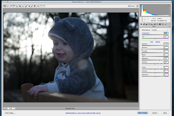 RAW digital file unprocessed