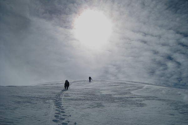 denali-national-park-Silhouette