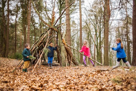 National Trust finds nation's best den building spot