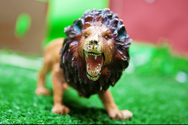 Photographing Toys Lion