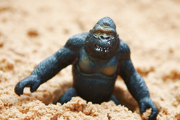 Photographing Toys Monkey