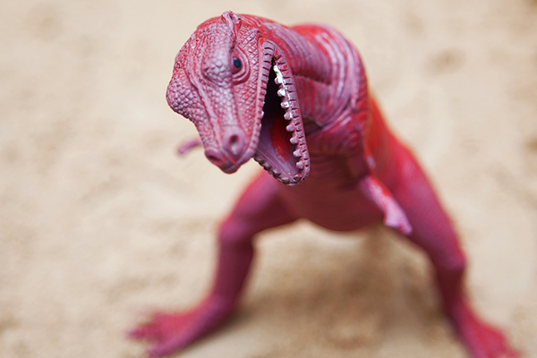 Photographing Toys T REX