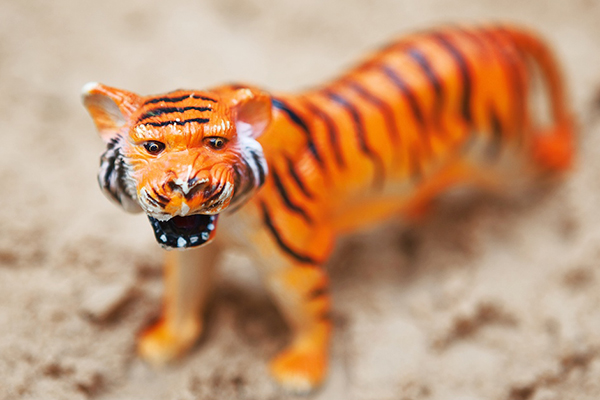 Photographing Toys Tiger