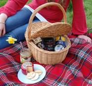 hamper pic nic
