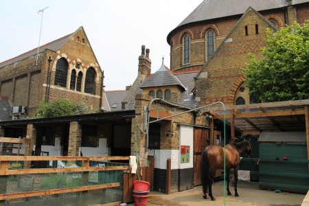 vauxhall city farm horse