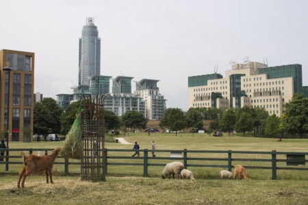 vauxhall city farm MI5 backdrop
