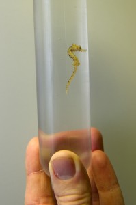 SLLA_Health_Check_EDIT_001