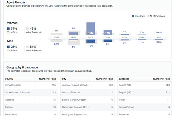 Facebook insights Age