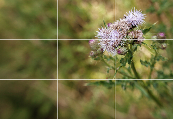 Rule of thirds 2