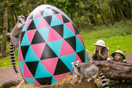 New Species Furby Boom Egg arrives at Fota-4