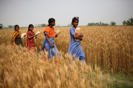 PLAN charity Girls walking to school in Bangladesh
