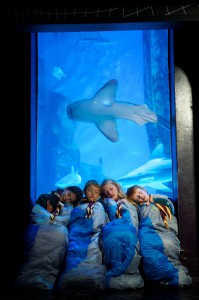 Scouts spend the night sleeping in the SEA LIFE London Aquarium