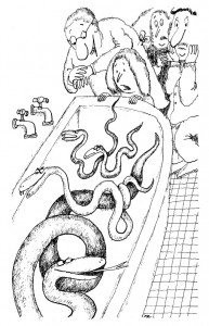 The Good Little Devil and Other Tales by Pierre Gripari page 102