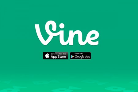 Vine