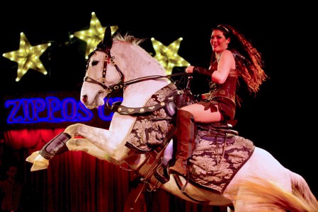 zippos circus Nicky de Neumann at Zippo's Circus (rearing horse)