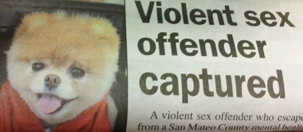 Juxtaposition newspaper 2