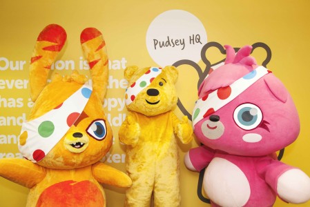 Pudsey and moshis Image 2