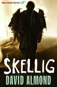 Skellig-cover