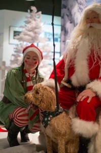 12 dogs of xmas 11304400055_21f2e55c67 santa dog LR