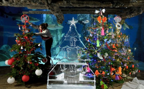 London Aquarium lights up special Fishmas Trees including a stunning Climate change Ice tree. London. Britain - 10 Dec 2013