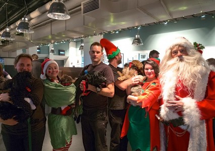 xmas movie 12Dogs2 - The Dogfather dogs2