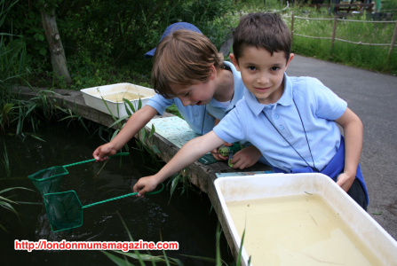 Easter half term holidays at the WWT London Wetland Centre child fishing