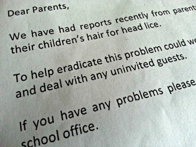 school letter to parents nits and lice