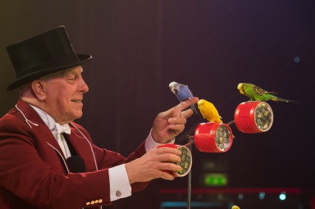 zippos circus Norman Barrett MBE and budgies 2014 - Photographer Piet-Hein Out