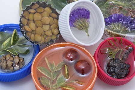 Gardening Lab for Kids QY9048_004