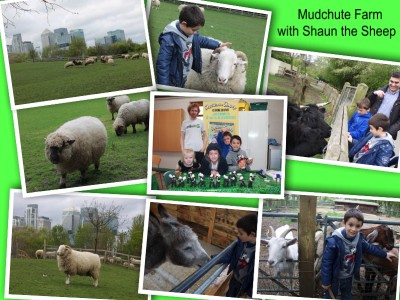 Mudchute farm shaun the sheep collage 1