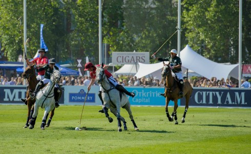 Chestertons Polo in the Park 2014 horses