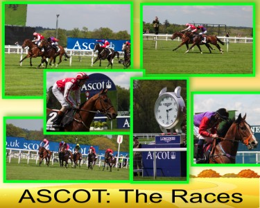 Ascot races collage