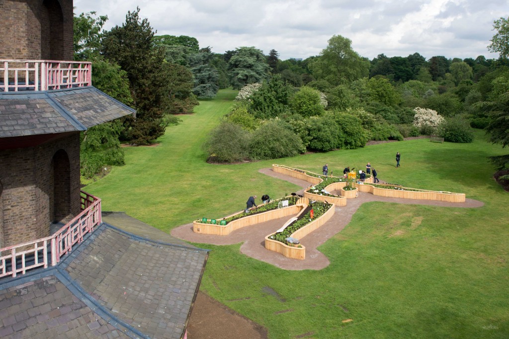 Healing giant, plantasia festival