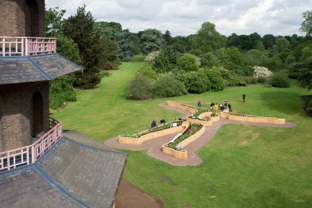 Healing giant, plantasia festival