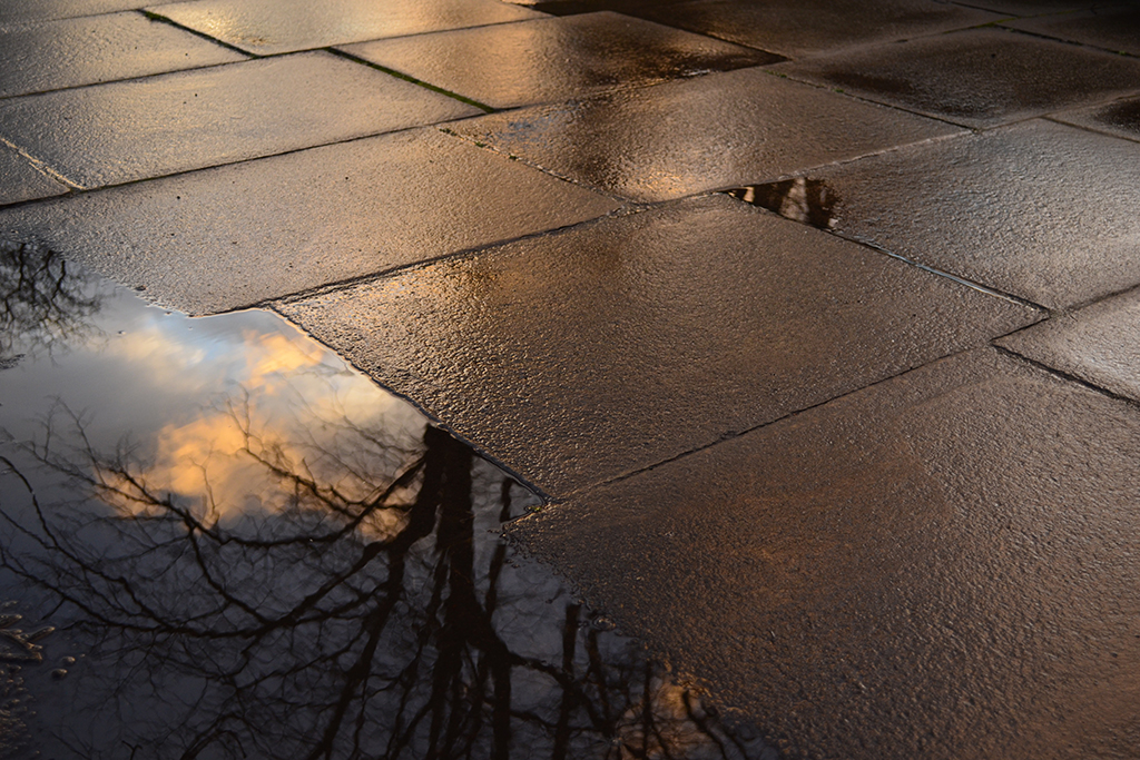 rain on pavement
