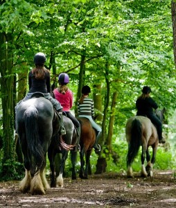 Great School Holiday Ideas From Visit Essex Southend horse riding r