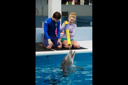 Dolphin Tale 2 3